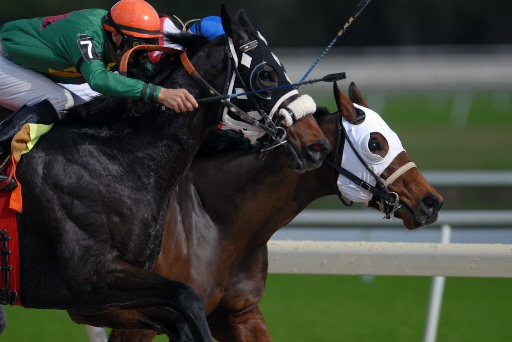cheltenham-festivali-2023:-buyuk-zaferler,-iyi-hisler-ve-irlanda-altin-kupasi-sampiyonu